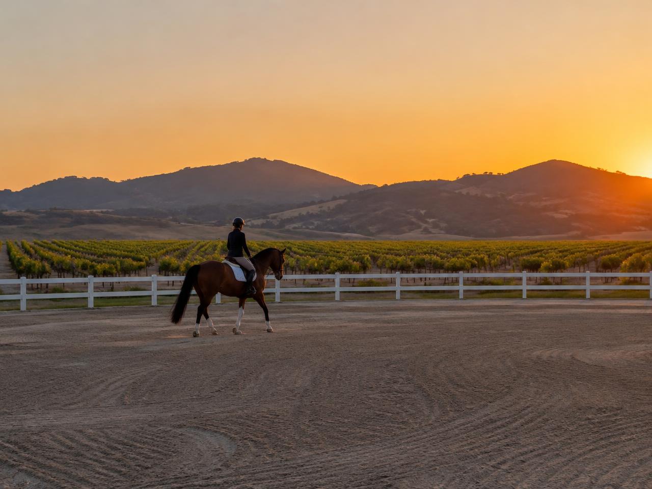Rider on a freshly groomed arena at sunset